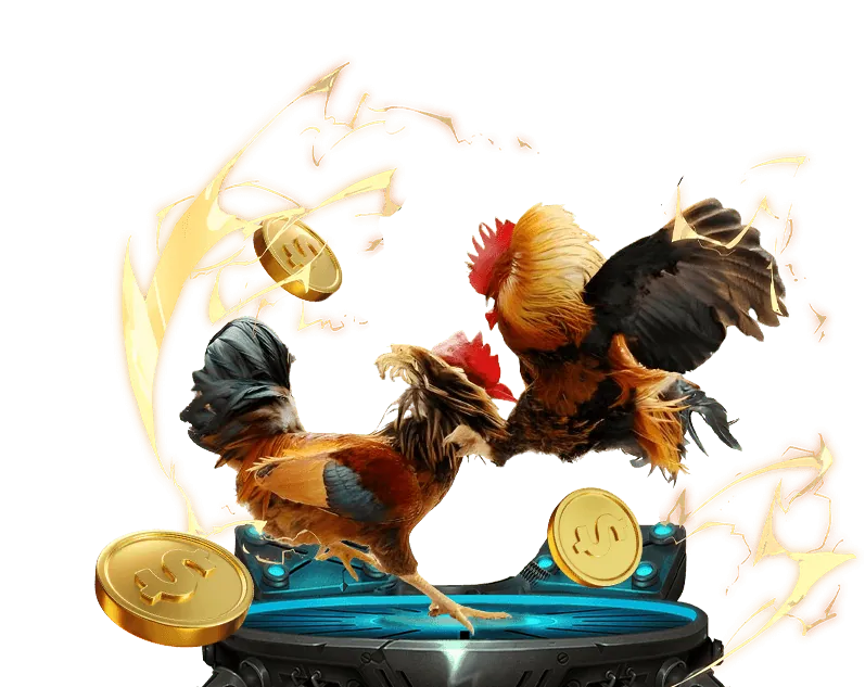 Xác nhận và hoàn tất đăng ký Xin88 Bond